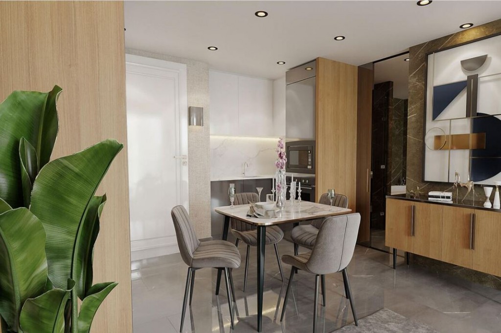 Apartment 1+1 ID 105002