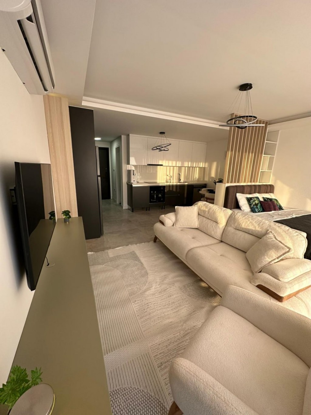 Apartment ID 154007 studio penthouse