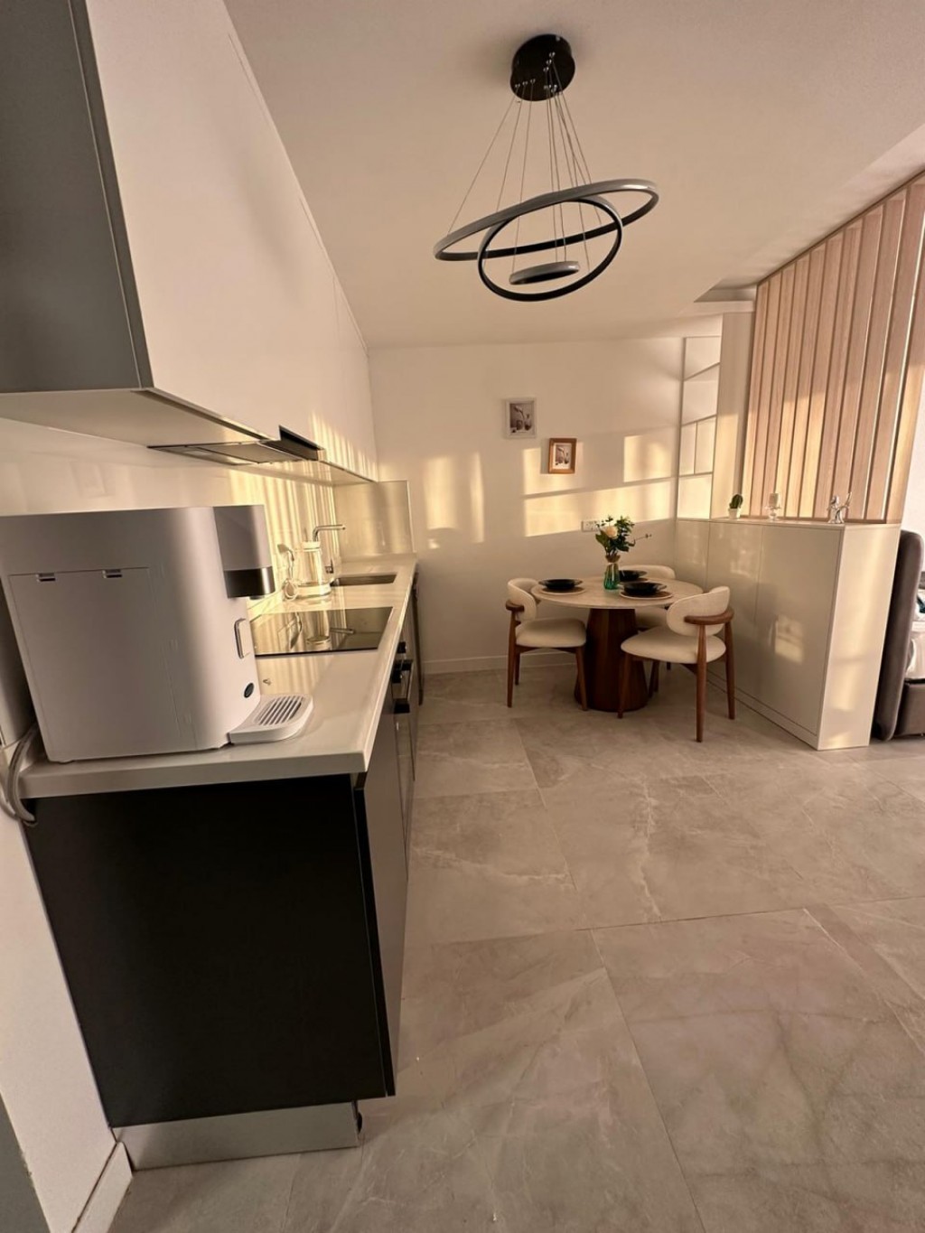 Apartment ID 154007 studio penthouse