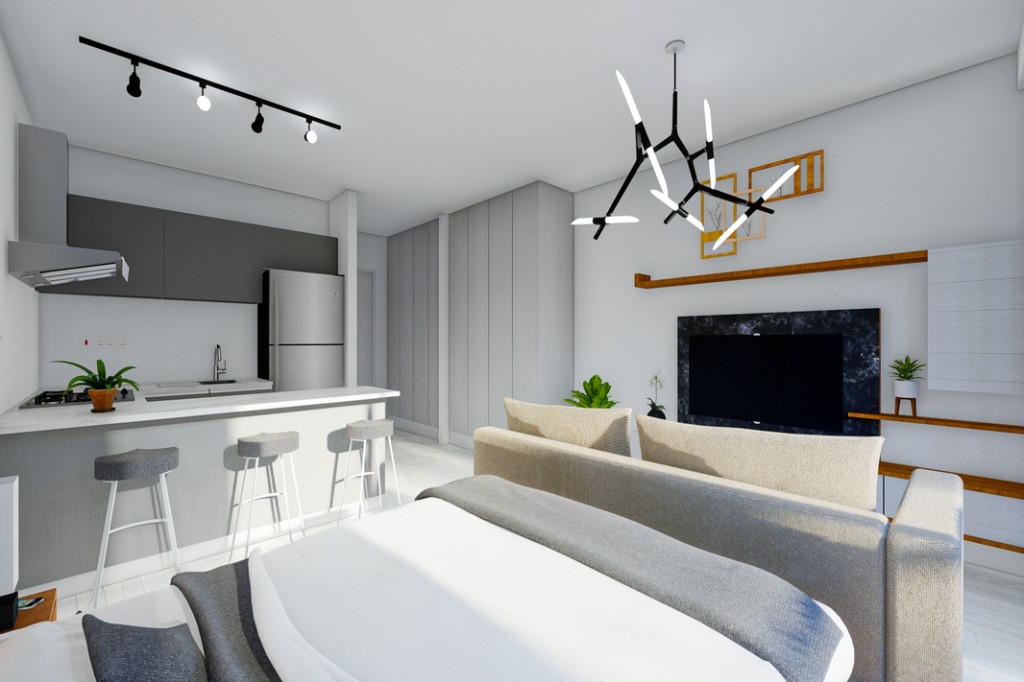 Apartment ID 165001 studio