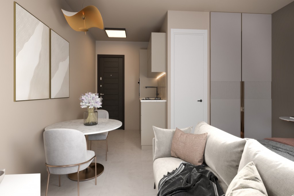 Apartment ID 239001 studio